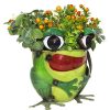 Think Outside Planters And Pots | Frog Table Top Planter